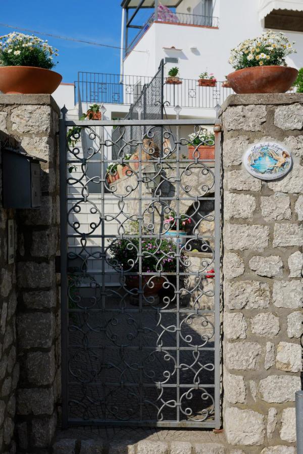 مبيت وإفطار أناكابْري La Ninfa Di Capri المظهر الخارجي الصورة